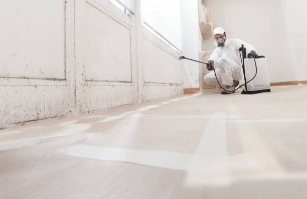 24/7 Emergency Attic Mold Remediation experts in McHenry, MD
