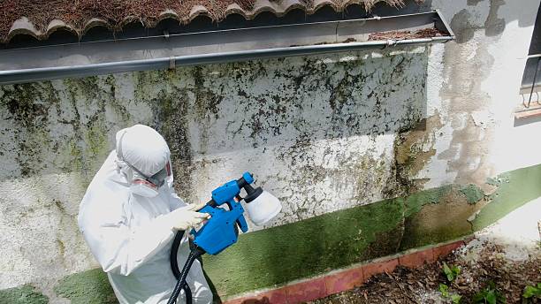 Top rated local Attic Mold Remediation specialists in McHenry, MD